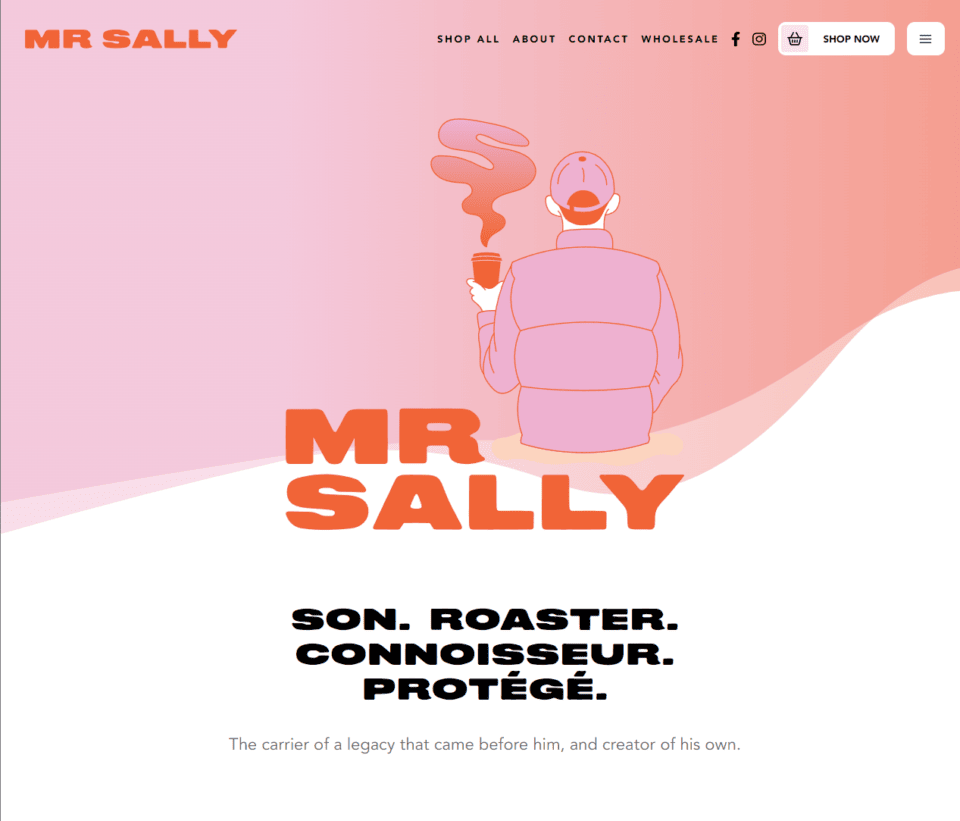 Mr sally website design.