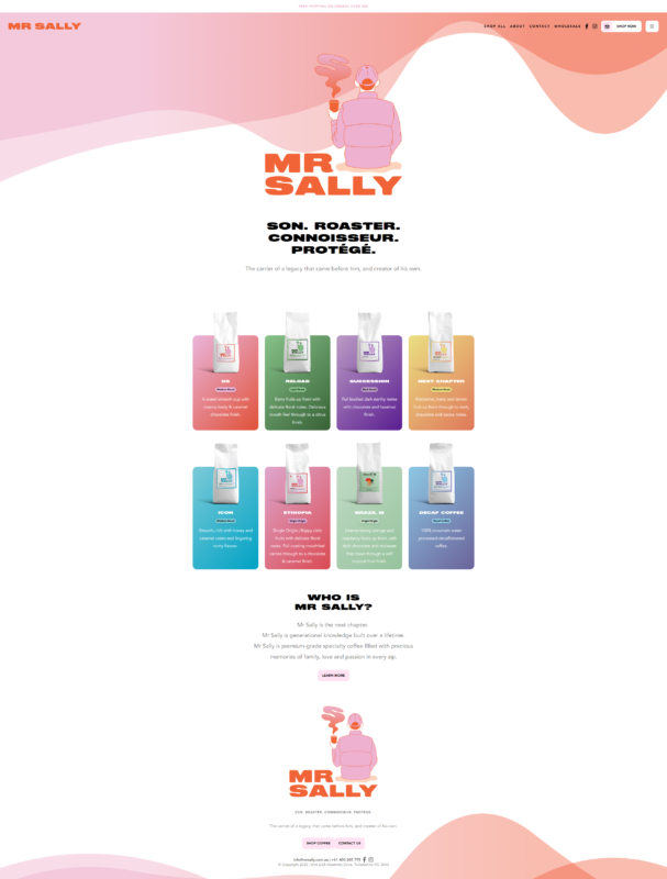 A website design for mr sally.